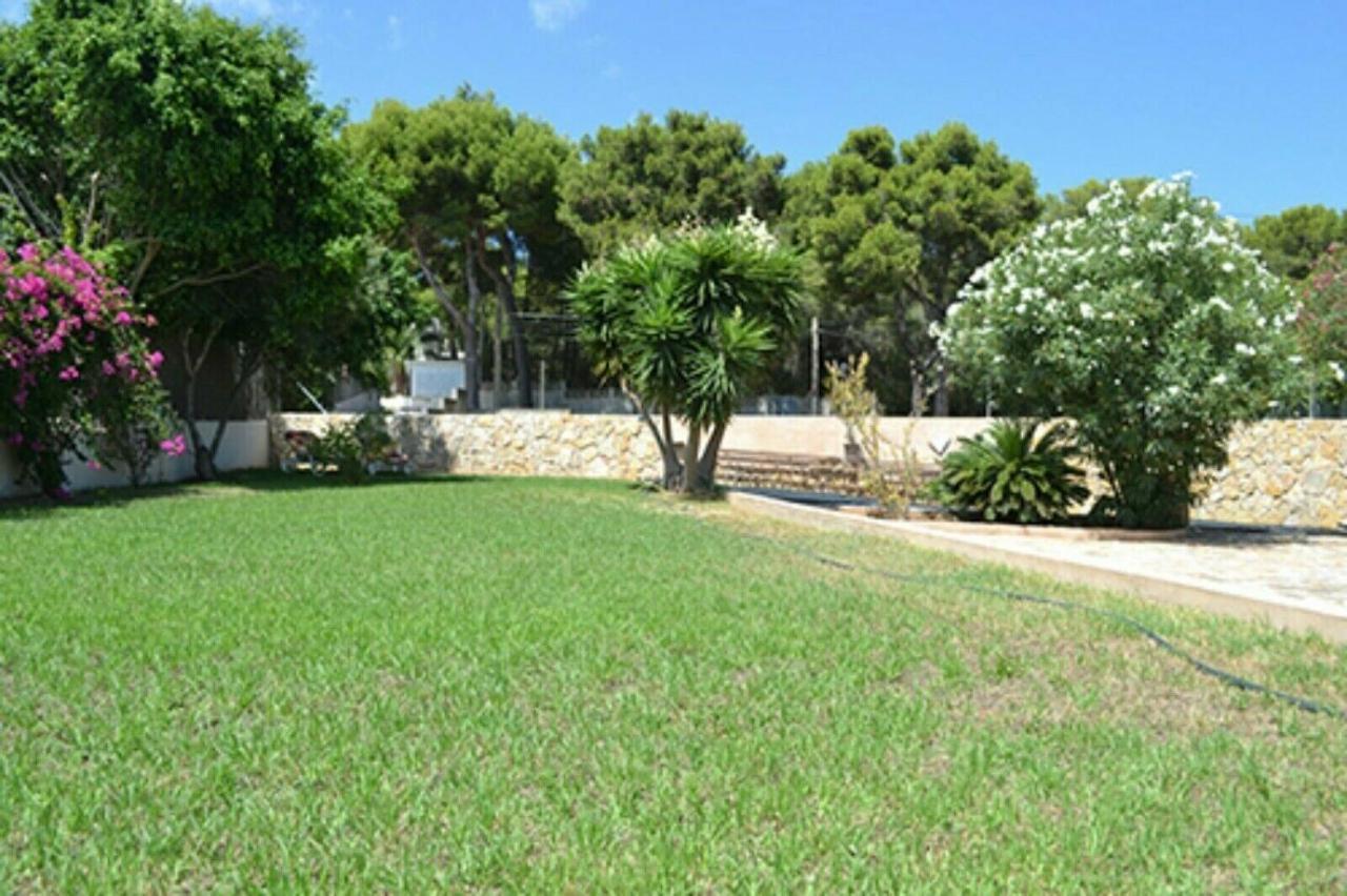 Vakantiehuis Casa La Siesta- Ruhiges In Cala Ratjada, 300 M Vom Son Moll Entfernt *