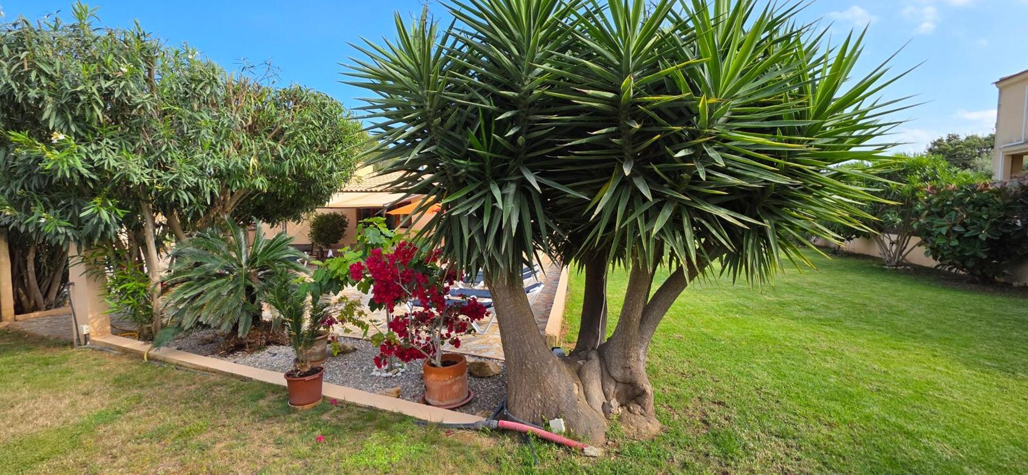 Casa La Siesta- Ruhiges In Cala Ratjada, 300 M Vom Son Moll Entfernt * Cala Ratjada (Mallorca)
